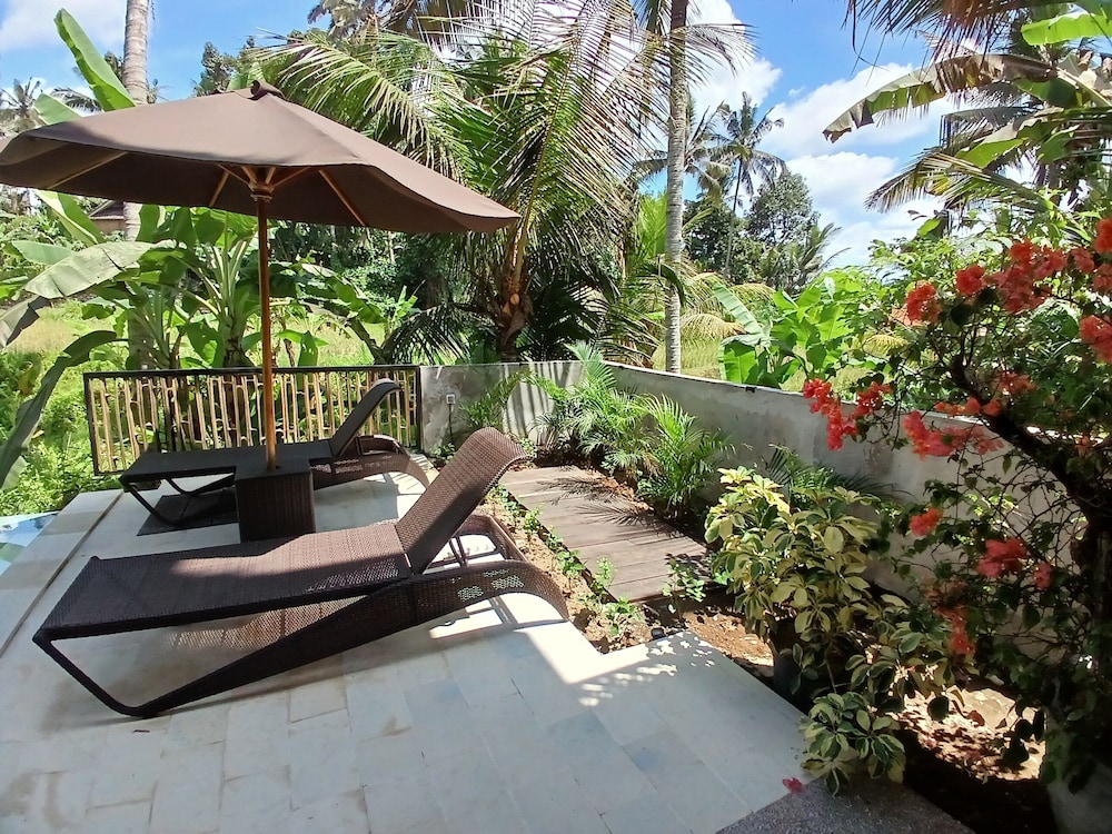 Bali View Ubud image