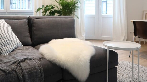 A modern living room with a grey sofa, a white furry throw, a small round table, and a potted plant. - Beautiful apartment in Liège center - 1st floor (Liège)