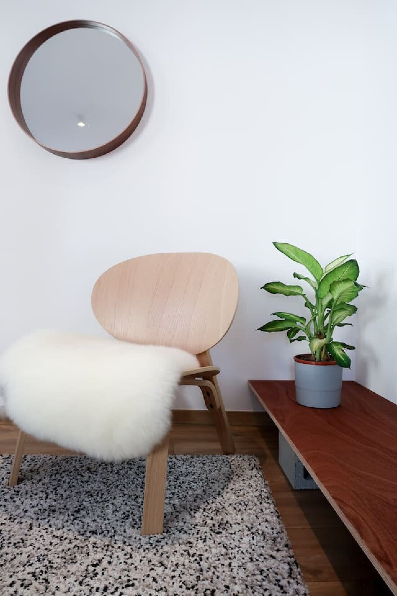A chair with a white furry seat, a wooden backrest, and a potted plant with broad leaves on a wooden table.