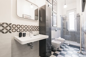 Shower, hair dryer, bidet, towels