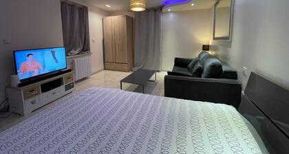 Jolie F1 meublé et équipé avec cour commune en centre-ville