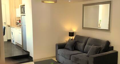 Jolie F1 meublé et équipé avec cour commune en centre-ville