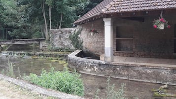 Área da propriedade