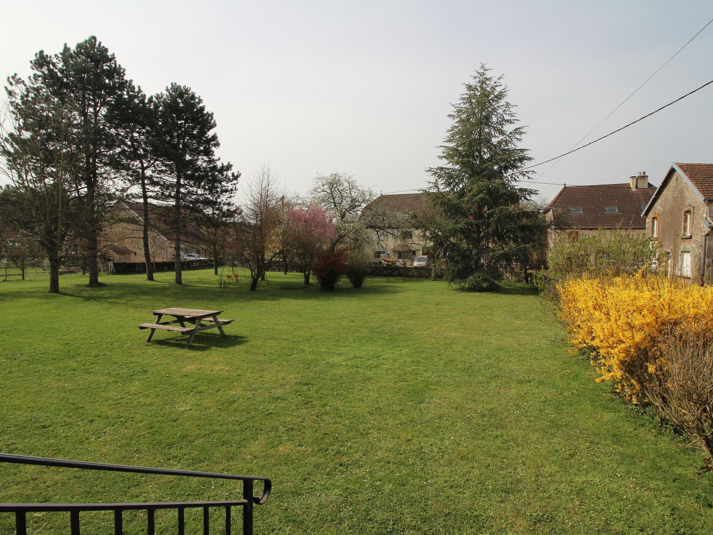 A grassy outdoor area with a picnic table, surrounded by trees and a yellow flowering bush.
