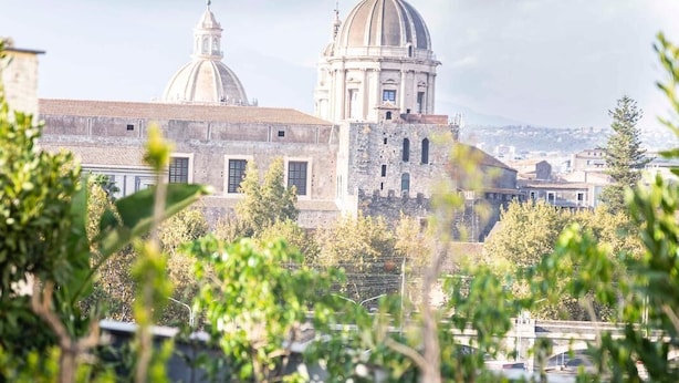 A view of a historic building with two domes, surrounded by greenery and a metal fence. - Rooftop53  (Catania)