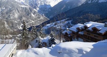 Courchevel 1550 - facing the slopes - 2 bedrooms with 2 sofa beds in the living room