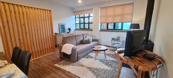 TV, fireplace, books