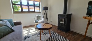 TV, fireplace, books