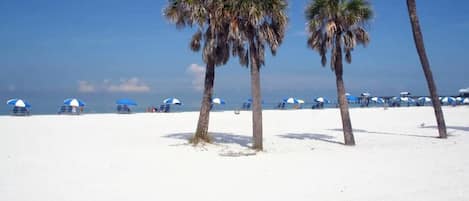 On the beach