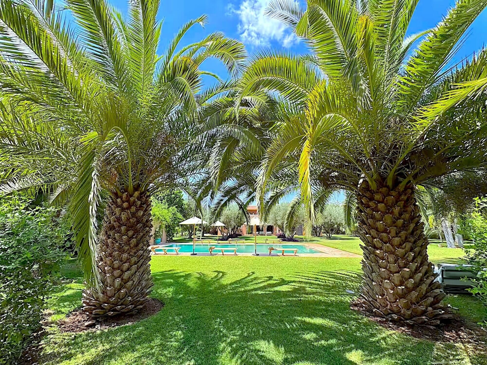 屋外プール、温水プール