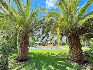 Una piscina al aire libre, una piscina climatizada