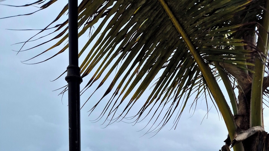 Ginger Diu Jalandhar Beach