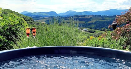 Ty Farm Retreat - Farmhouse Studio - Mountain View