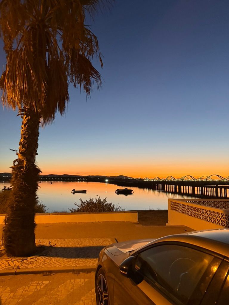 Vista al atardecer con un lago tranquilo, una palmera y un coche estacionado al lado.