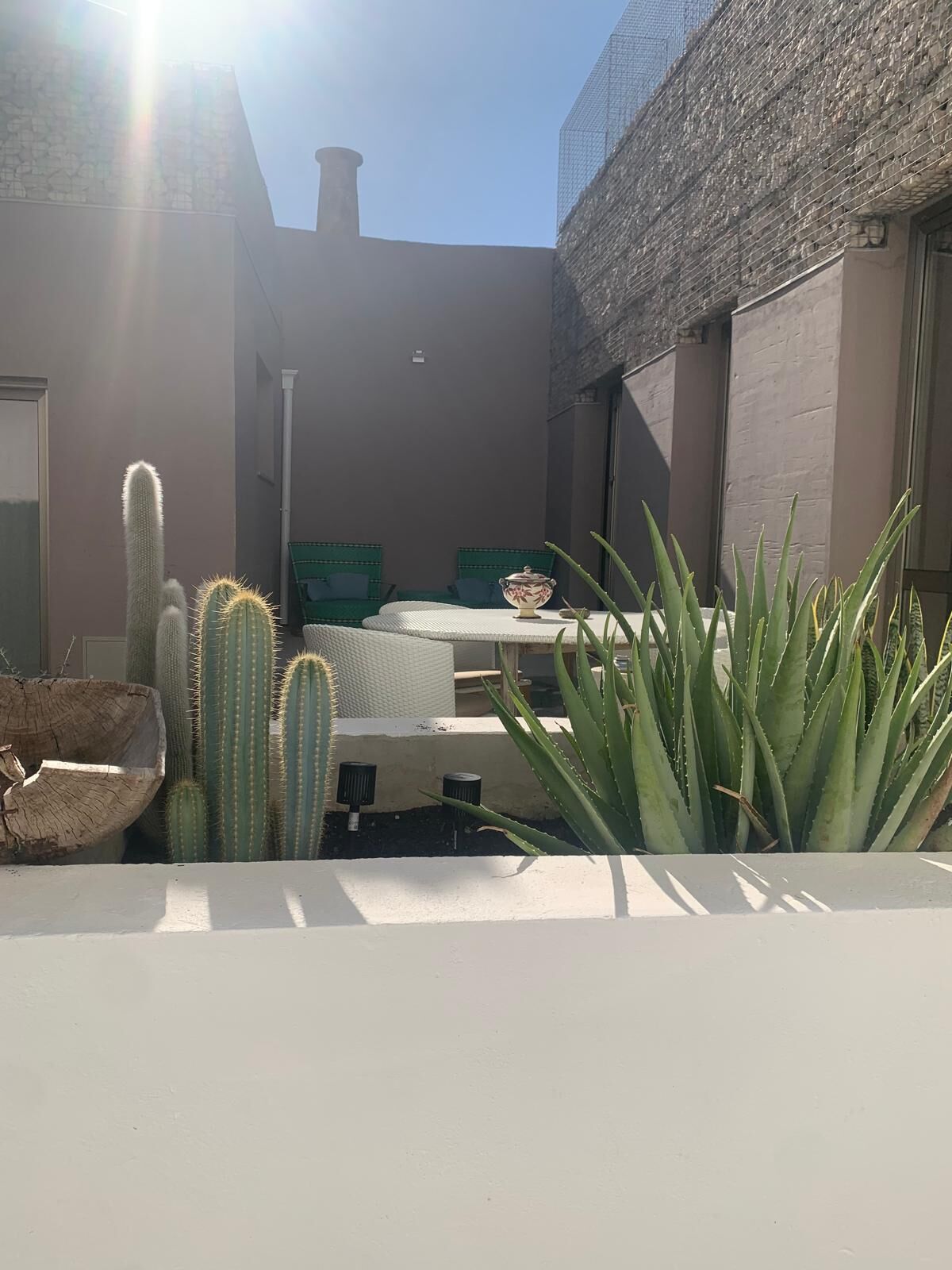 Un patio con una mesa, sillas, cactus y plantas de aloe.