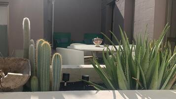 Un patio con una mesa, sillas, cactus y plantas de aloe.