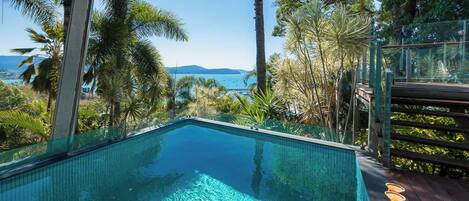 An infinity pool with clear water, surrounded by tropical vegetation and overlooking a body of water.