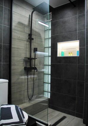 Shower, hair dryer, towels, soap