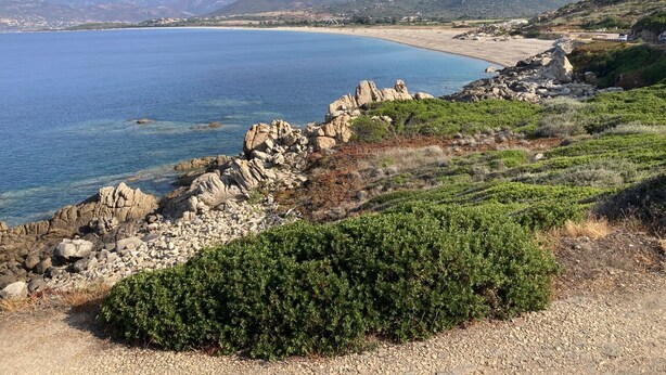 A coastal landscape with rocky terrain, a beach, and distant mountains. - Charming sheepfold on the Liamone beach (Casaglione)