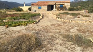 A stone house with a tiled roof, surrounded by a dry landscape and fields. - Charming sheepfold on the Liamone beach (Casaglione)