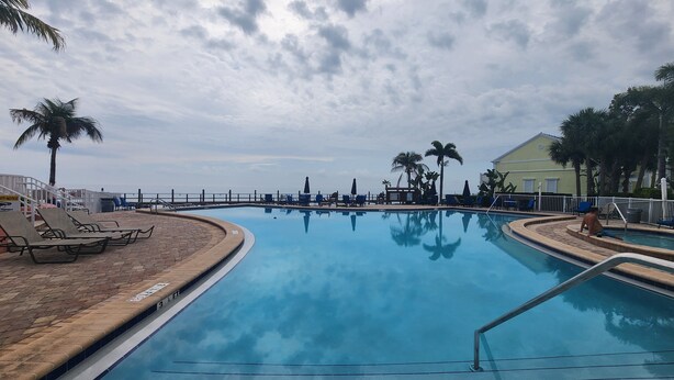 A swimming pool with lounge chairs and palm trees.