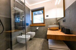 Shower, hair dryer, bidet, towels