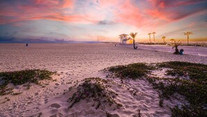 A beach with a white building, palm trees, and footprints in the sand.