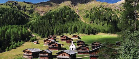 Esterni