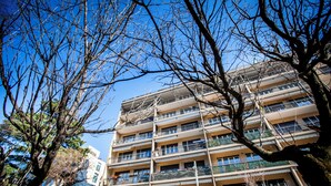 Un edificio a più piani con balconi, circondato da alberi.