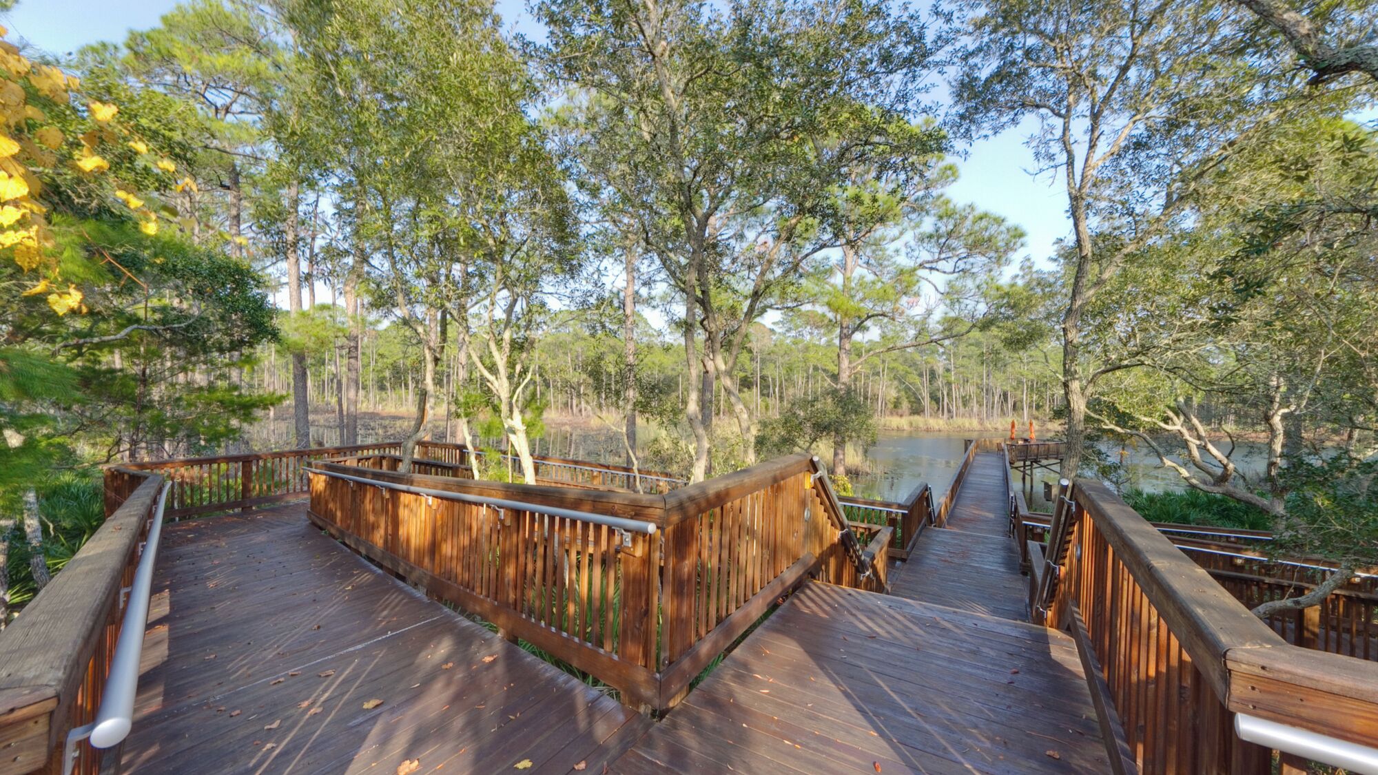 A wooden boardwalk through a forested area with a small bridge over water.