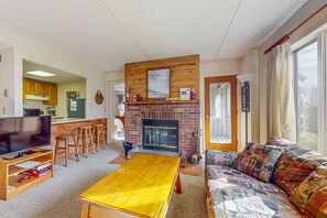 Télévision, cheminée, lecteur de DVD