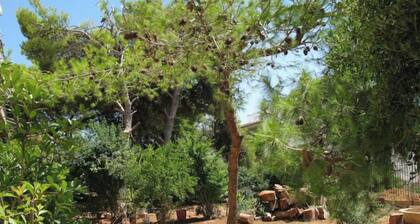 Lovely apartment with balcony in Saronida