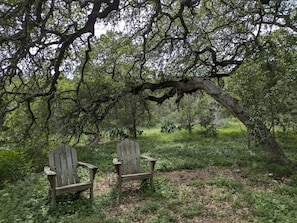Deux fauteuils Adirondack en bois, placés sous un grand arbre, dans un cadre naturel.