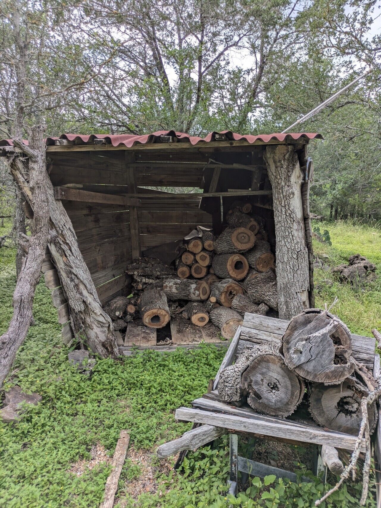 A rustic wooden shed with a corrugated metal roof, surrounded by trees and greenery.