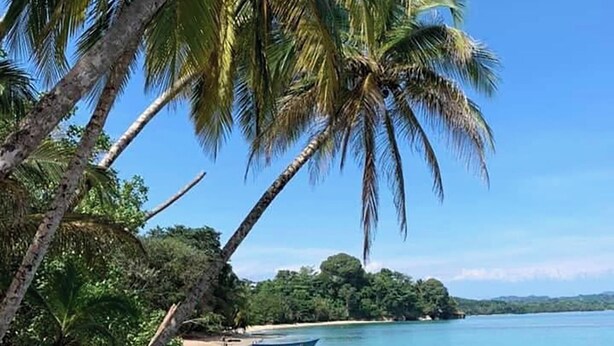 Une plage avec une eau d’un bleu limpide, des palmiers et un bateau sur le rivage.