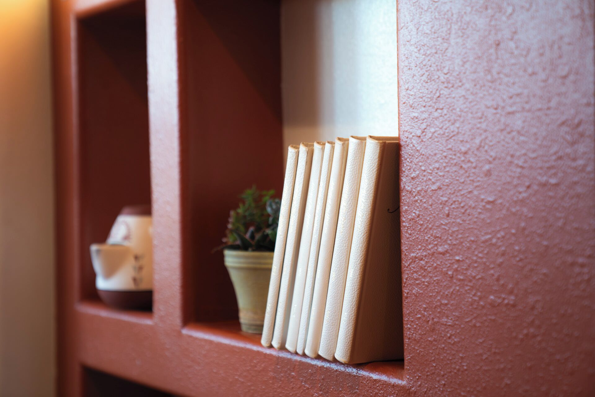 A shelf with a row of books and a potted plant.