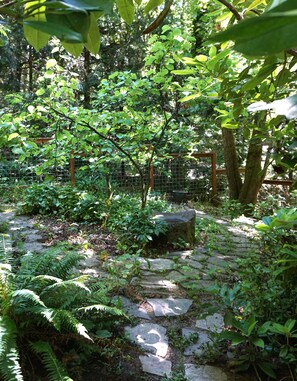 Property grounds - Forest Retreat in Eugene – Stylish Home w/ Hot Tub, Chef's Kitchen & Trails (Eugene)