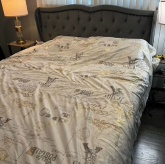 Luxury 1-bedroom Home With Themed Rooms & Private Party Space - Tinley Park, IL