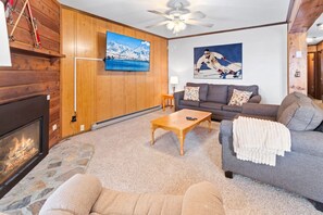 TV, fireplace