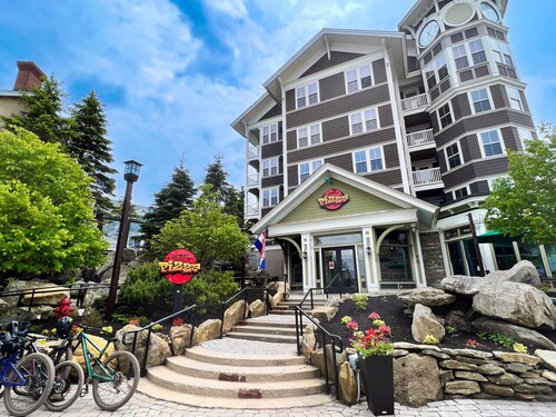 3BR/2BA Across From Village On Shuttle Route