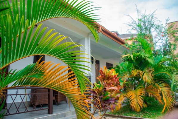 Détail de l’extérieur