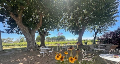La Maison de Constance - Charmante Maison provençale 3 chambres