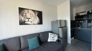 Televisión