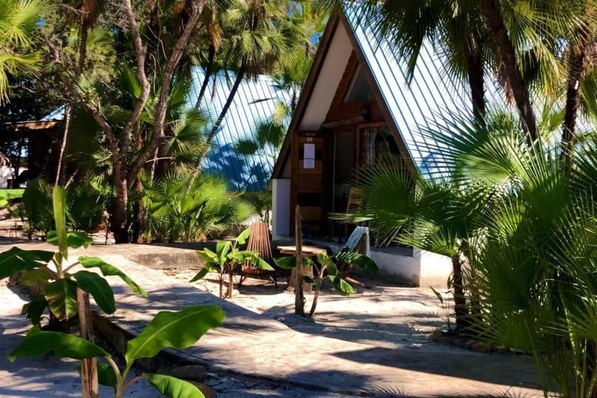 A small, triangular-roofed building surrounded by lush tropical vegetation.