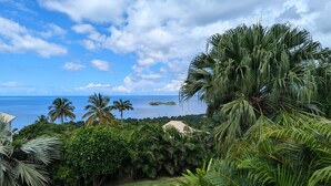 Un jardin luxuriant, avec des palmiers et une vue sur l’océan.