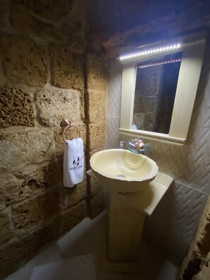 Hair dryer, soap, toilet paper