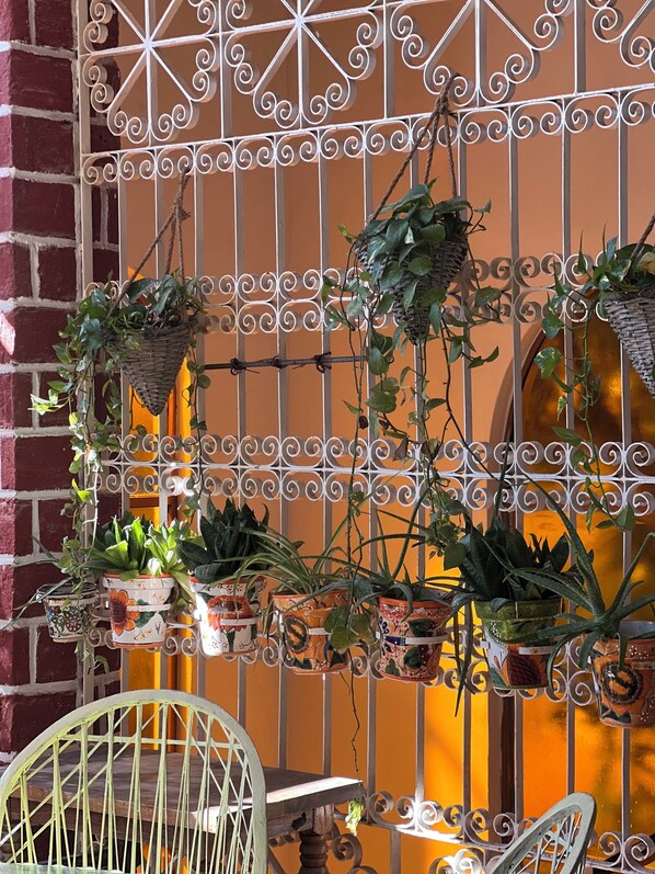 A metal gate with decorative patterns, potted plants, and a wicker basket.