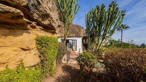 Un edificio moderno con puerta de vidrio, rodeado de exuberante vegetación y cactus.