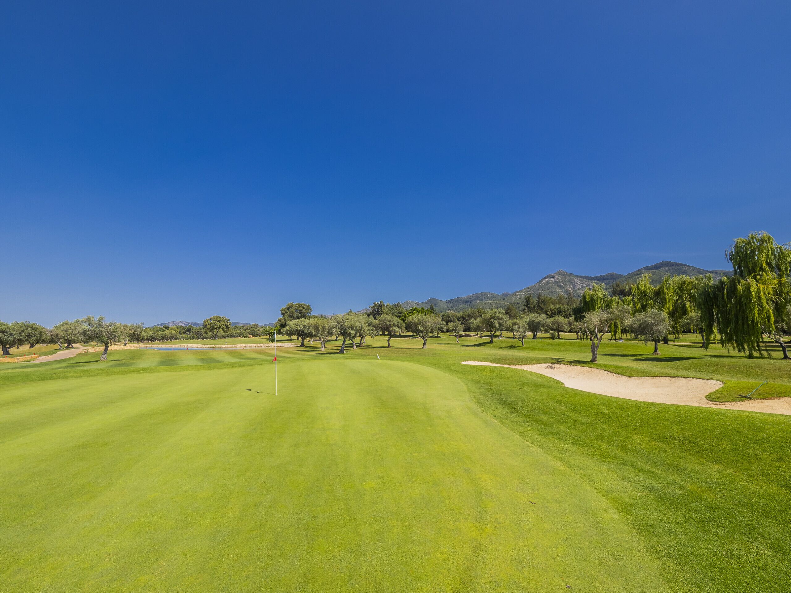 Een golfbaan met een heldere lucht, groen gras, bomen en een berg op de achtergrond.