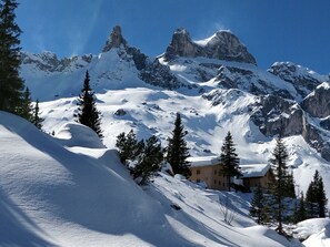 Miscellaneous - Cozy apartment right next to the Silvretta Montafon ski lifts. (Sankt Gallenkirch)
